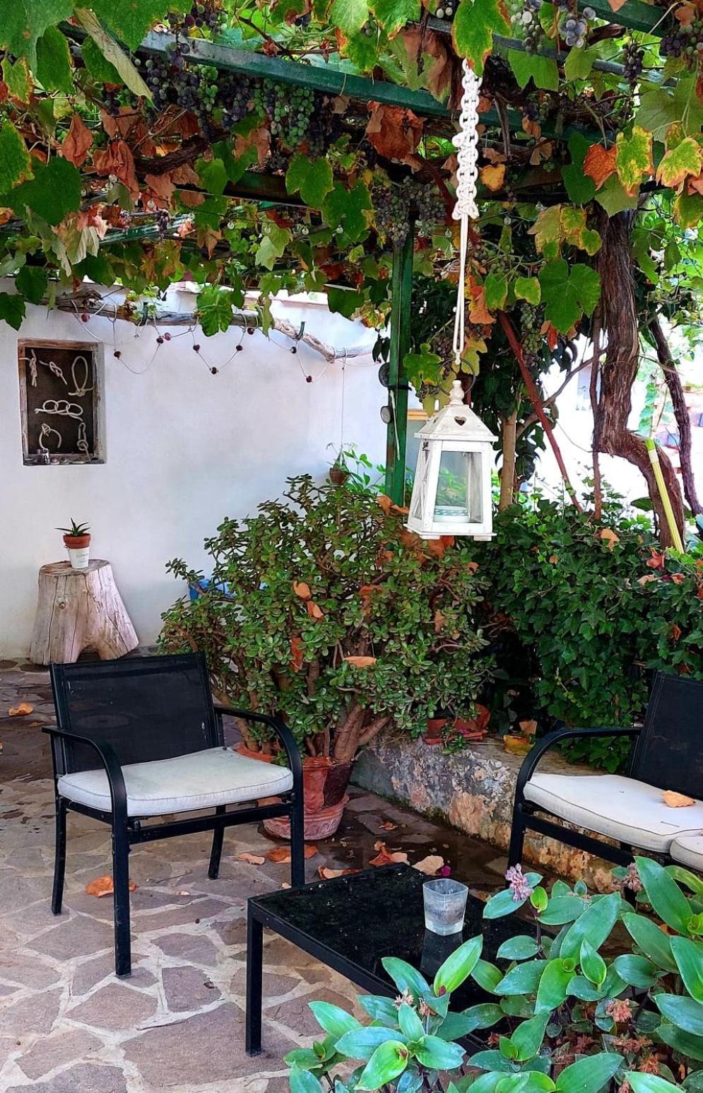 Cavo Beach 1 Room photo